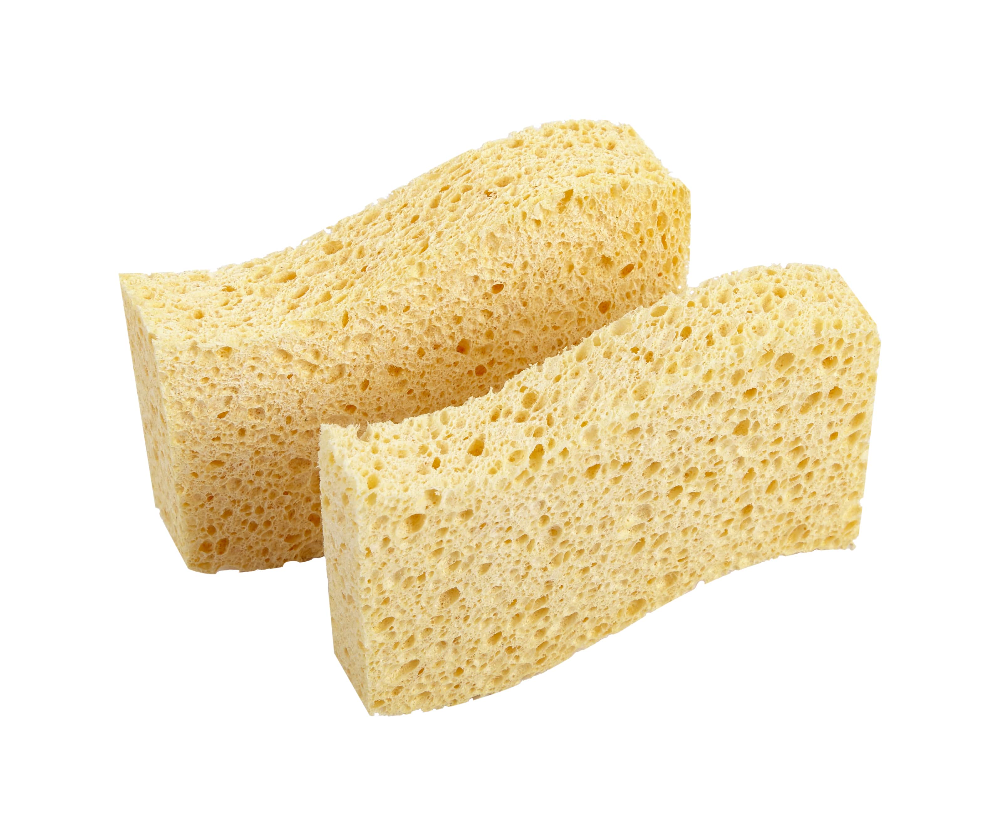 Re:gn Biodegradable Kitchen Sponges - (Pack of 2) - Bare and Bubbly Ltd