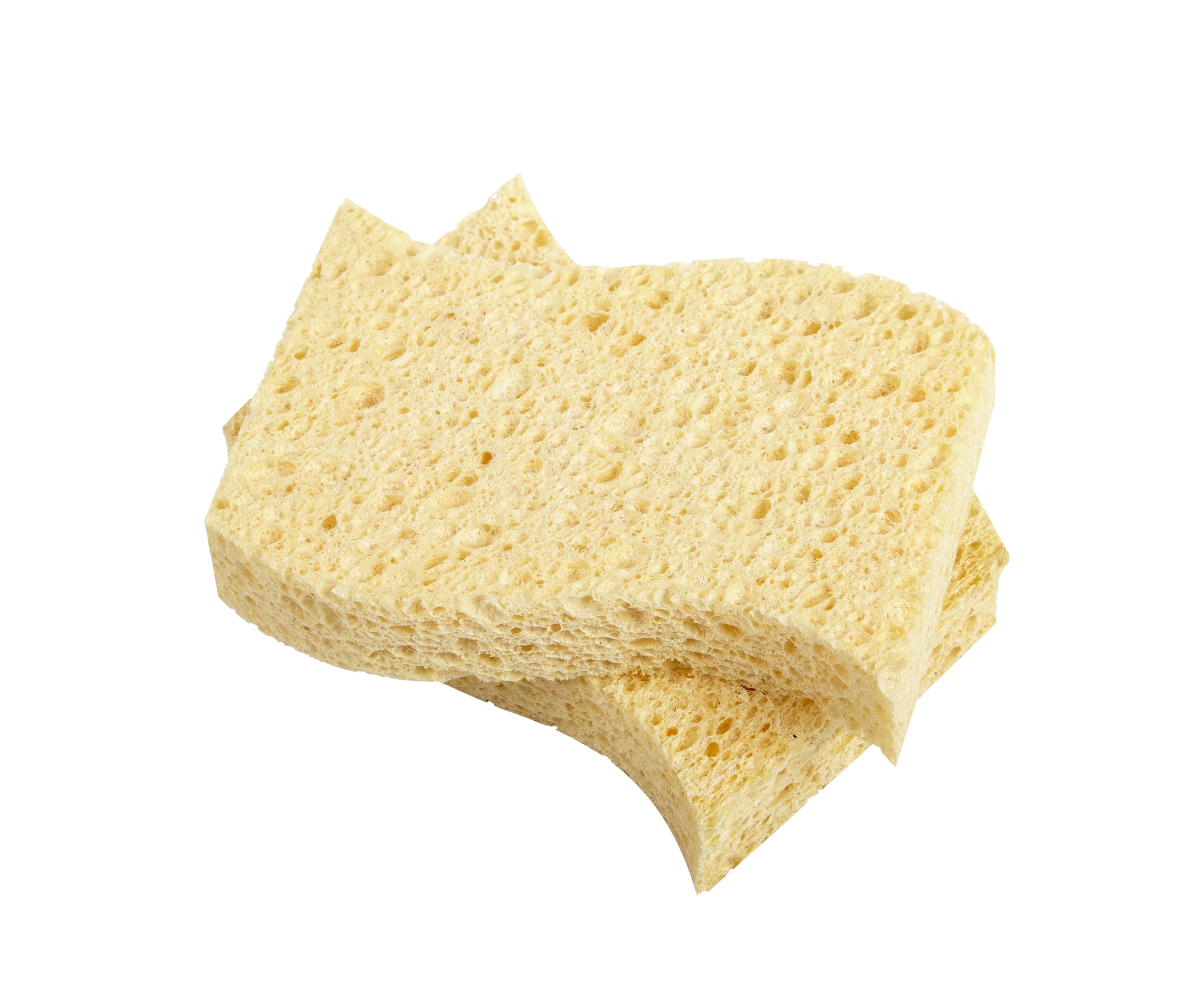 Re:gn Biodegradable Kitchen Sponges - (Pack of 2) - Bare and Bubbly Ltd