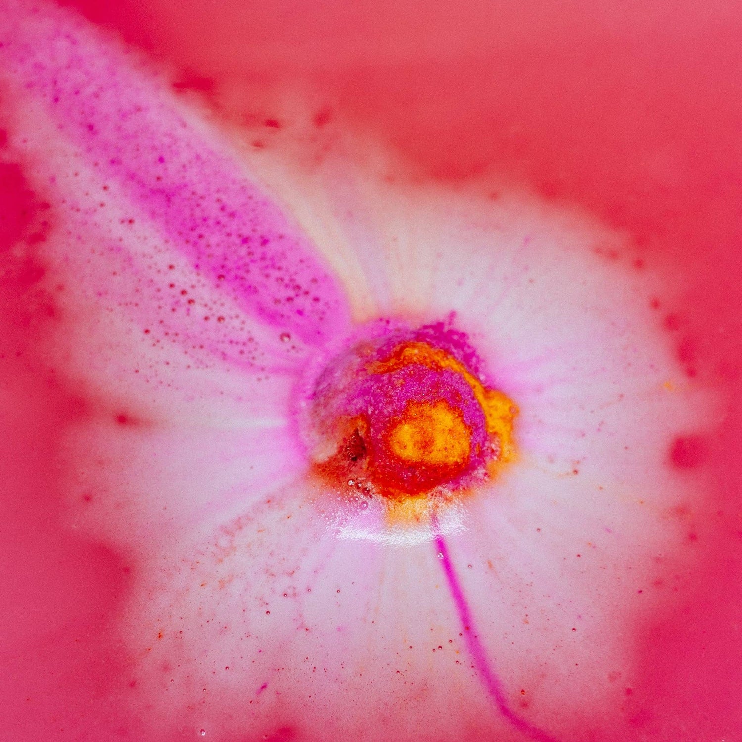 Scentish A Lil Something Gift Set