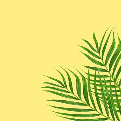 Scentish Cheeky Bum Gift Set