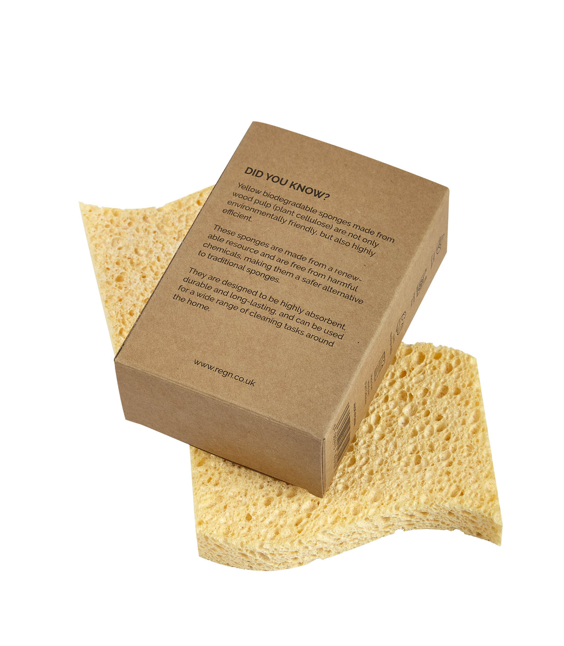 Re:gn Biodegradable Kitchen Sponges - (Pack of 2) - Bare and Bubbly Ltd